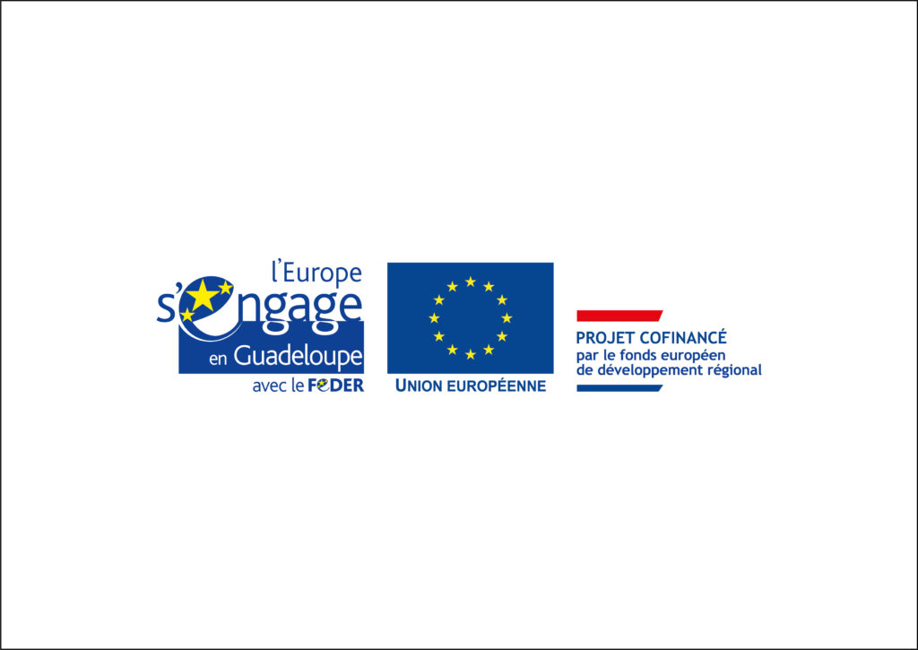 3_Logo_fond_europeen
